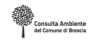 smarketing_consulta